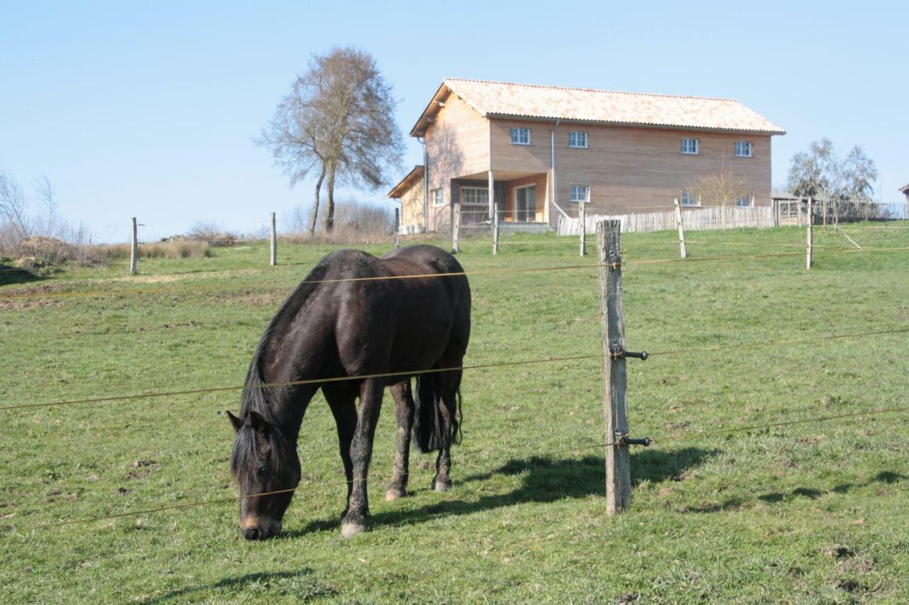 Le Petit Durbec Villa La Force  ภายนอก รูปภาพ
